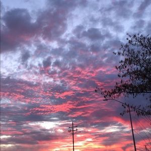 Meet your Posher, Savanna